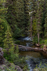South Fork Tieton River, Mt. Baker-Snoqualmie National Forest