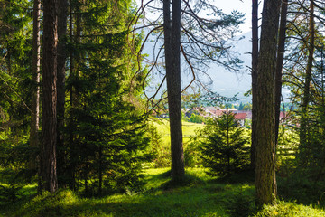 Obsteig in Sonnenplateau, Austria