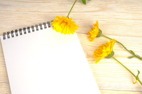 Sketchbook And Yellow Flowers On White Table