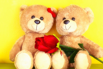 Love concept of couple teddy bear with red rose  for valentines