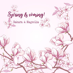 Spring Sakura and Magnolia Background