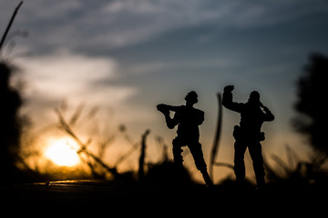 Fototapeta na wymiar Soldier guard silhouette.