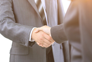 Handshake of the two businessmen, agreed in the contract.