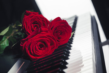 red roses on piano keys