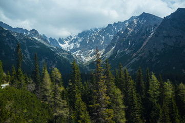 View on the Tatra mountains