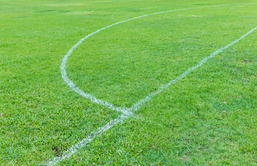 Obraz premium Football field with grass