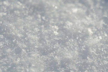 Fresh Snow Macro