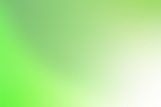 Green gradient light  soft background