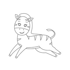 Zebra for coloring book.