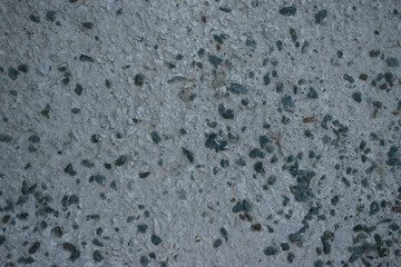 The background surface is painted cement walls with small stones