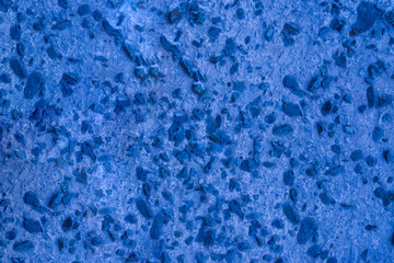 The background surface is painted cement walls with small stones