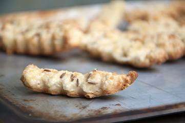 Homemade cookies with cheese and caraway seeds on a metal baking sheet close-up.