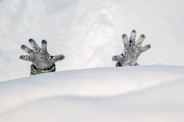 the child's hands in the gloves sticking out of the snow

