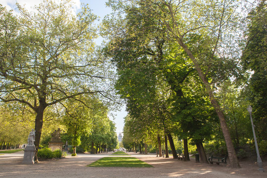 alley sorrounded by green park