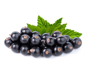 black currant isolated