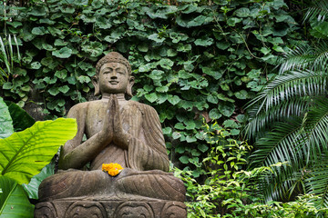Buddha in the Bamboo forrest and green garden