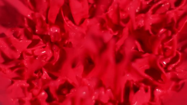 Red fluid dances up and down in a beautiful pattern in slow motion