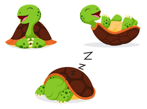 Cute Turtle cartoon 