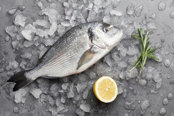 Fresh dorado or gilthead bream cooking with lemon and rosemary on stone background