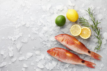 Fresh red mullet fish with lemon, lime and rosemary on icy stone background