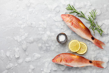 Fresh red mullet fish with lemon, salt and rosemary on icy stone background