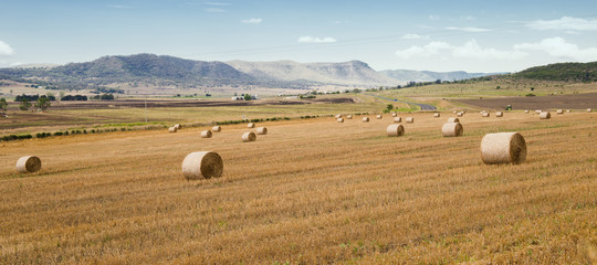 Outback agricultural and farming field