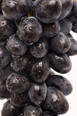 Juicy Grapes