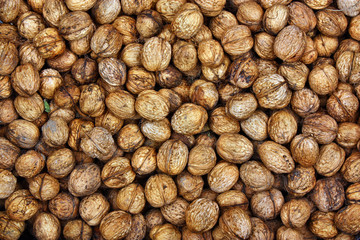 Fresh walnuts