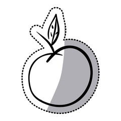 sticker silhouette apple fruit with leaf icon flat vector illustration