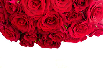Bouquet of dark red rose buds border isolated on white background
