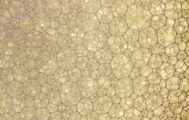 Naklejka premium bubbles water texture