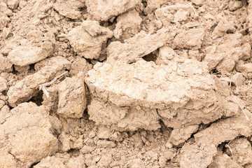 soil in a dry state