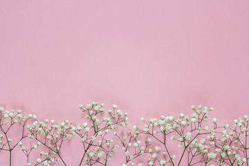The border of delicate little white flowers on pink background f