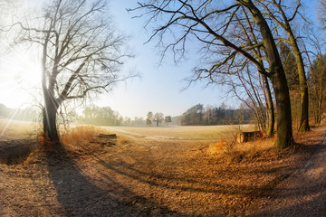 Fototapeta na wymiar eine Landschaft im Land Brandenburg ( Deutschland ) liegt in vollem Sonnenschein