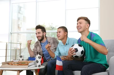 Rollo Soccer fans with pizza watching game in the room © Africa Studio