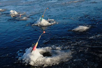 winter fishing on the sea the bright sun