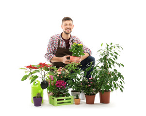 Naklejka na ściany i meble Male florist with beautiful house plants on white background