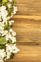 Naklejka na ściany i meble Spring Flowers./ Spring Flowers Background