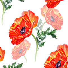 Watercolor pattern with red poppies isolated.