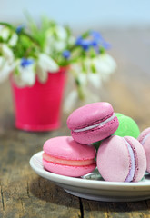 Colorful macaroons and spring flowers
