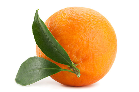 Tangerine tropical fruit on white