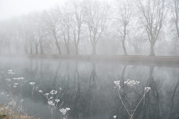 reflet dans le brouillard
