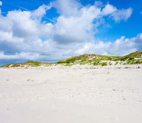 Dünengürtel am Strand