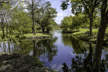 Fototapeta na wymiar A small lake in the park with some reflextion of blue sky. park