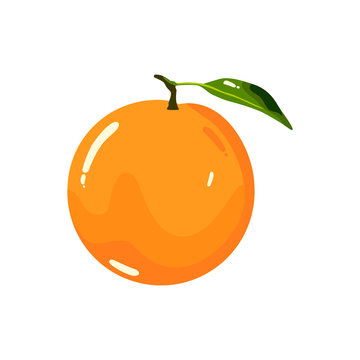 Orange Fruit Realistic Vector Illustration