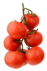 Tomatoes