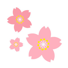 桜のイメージ