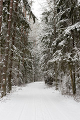 Obraz premium Road at white winter landscape in the forest.