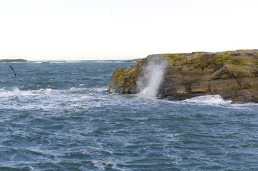 blowing on the swedish west coast