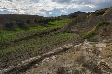 LUCANIA TRA ULIVI E CALANCHI